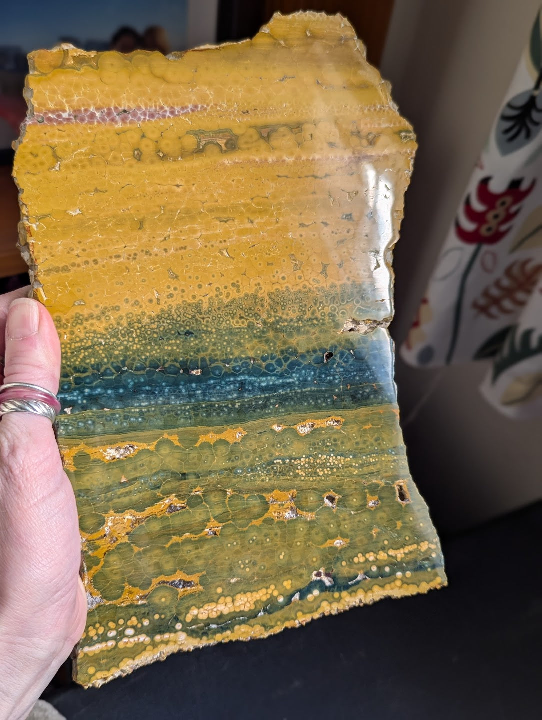 Multi-Color Rectangle Ocean Jasper Slab
