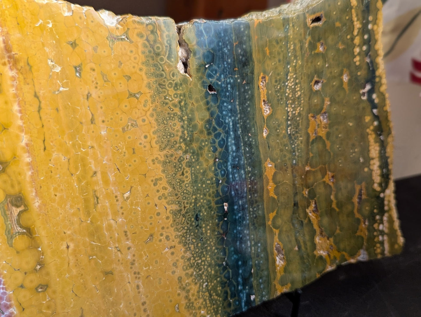 Multi-Color Rectangle Ocean Jasper Slab