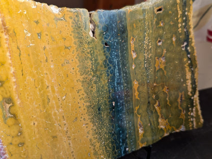 Multi-Color Rectangle Ocean Jasper Slab