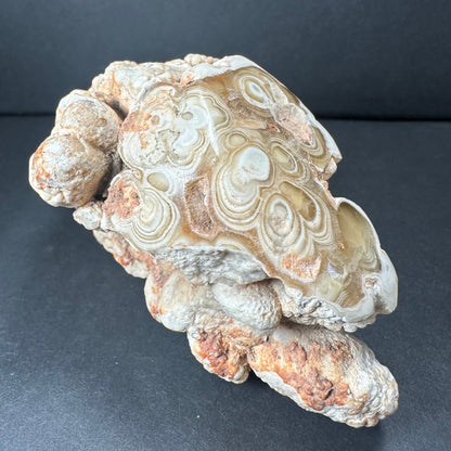 Cave Onyx Stalactite Kokoweef Cavern, Calico California