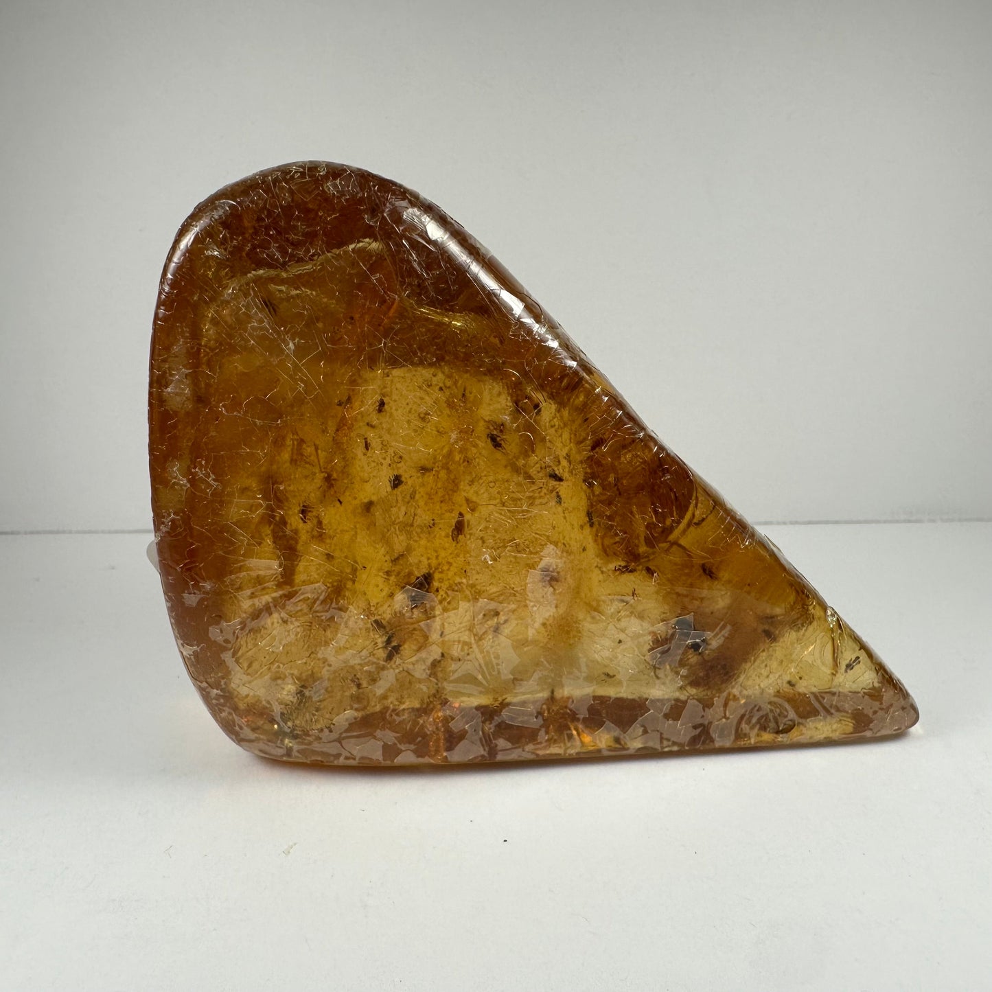 Colombian Amber with Insects
