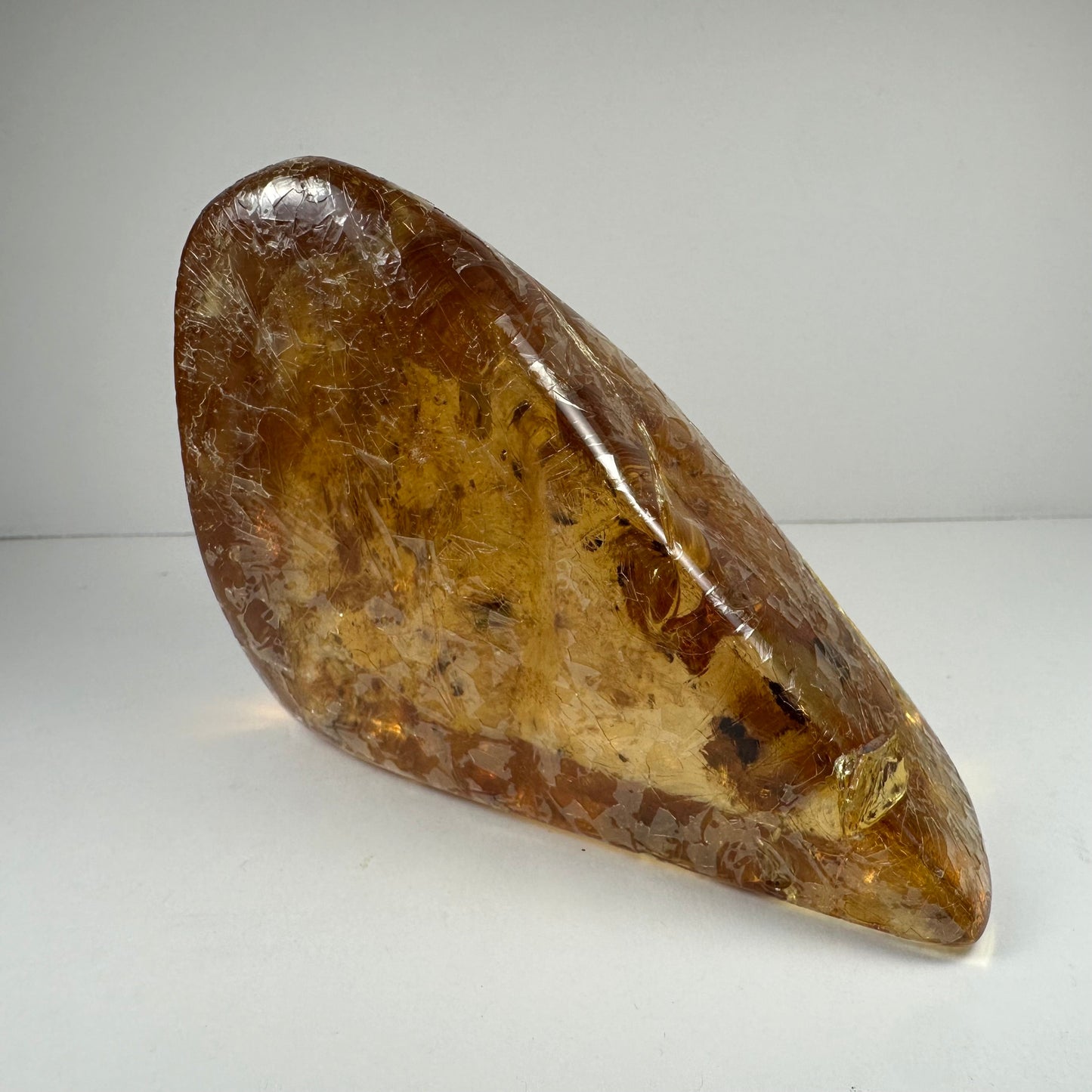 Colombian Amber with Insects