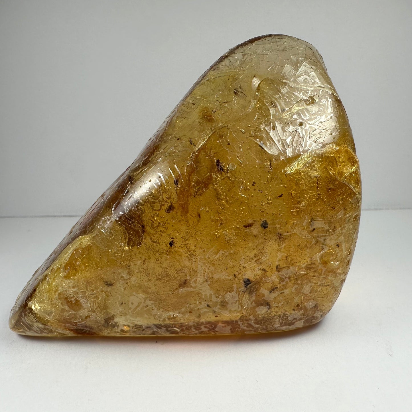 Colombian Amber with Insects