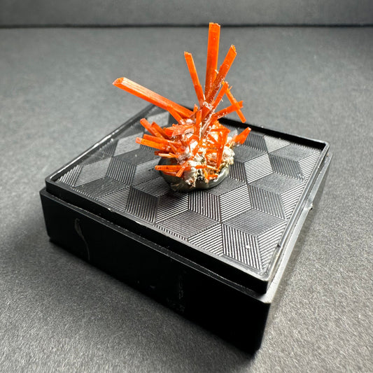 Crocoite on Matrix Adelaide Mine, Dundas, Tasmania, Australia