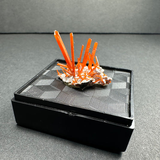 Crocoite on Matrix Adelaide Mine, Dundas, Tasmania, Australia