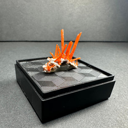 Crocoite on Matrix Adelaide Mine, Dundas, Tasmania, Australia