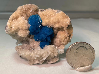 Cavansite with White Stilbite on Matrix Maharashtra, Pune, India