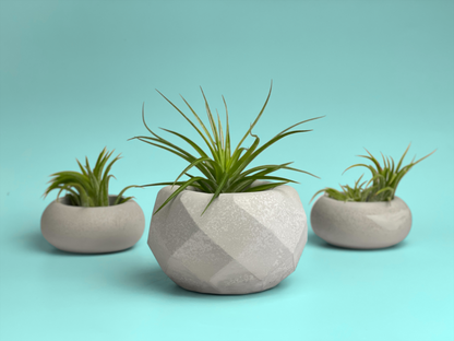 Geometric Air Plant Holder