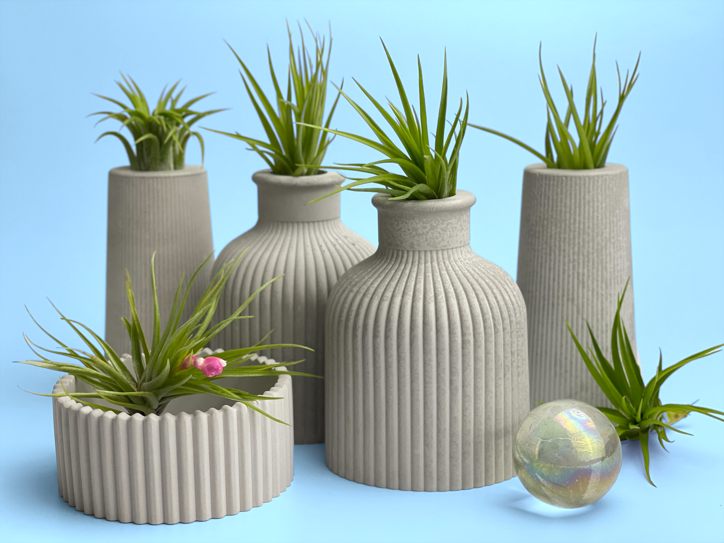 FAT MINI VASE | AIR PLANT HOLDER