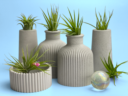 FAT MINI VASE | AIR PLANT HOLDER