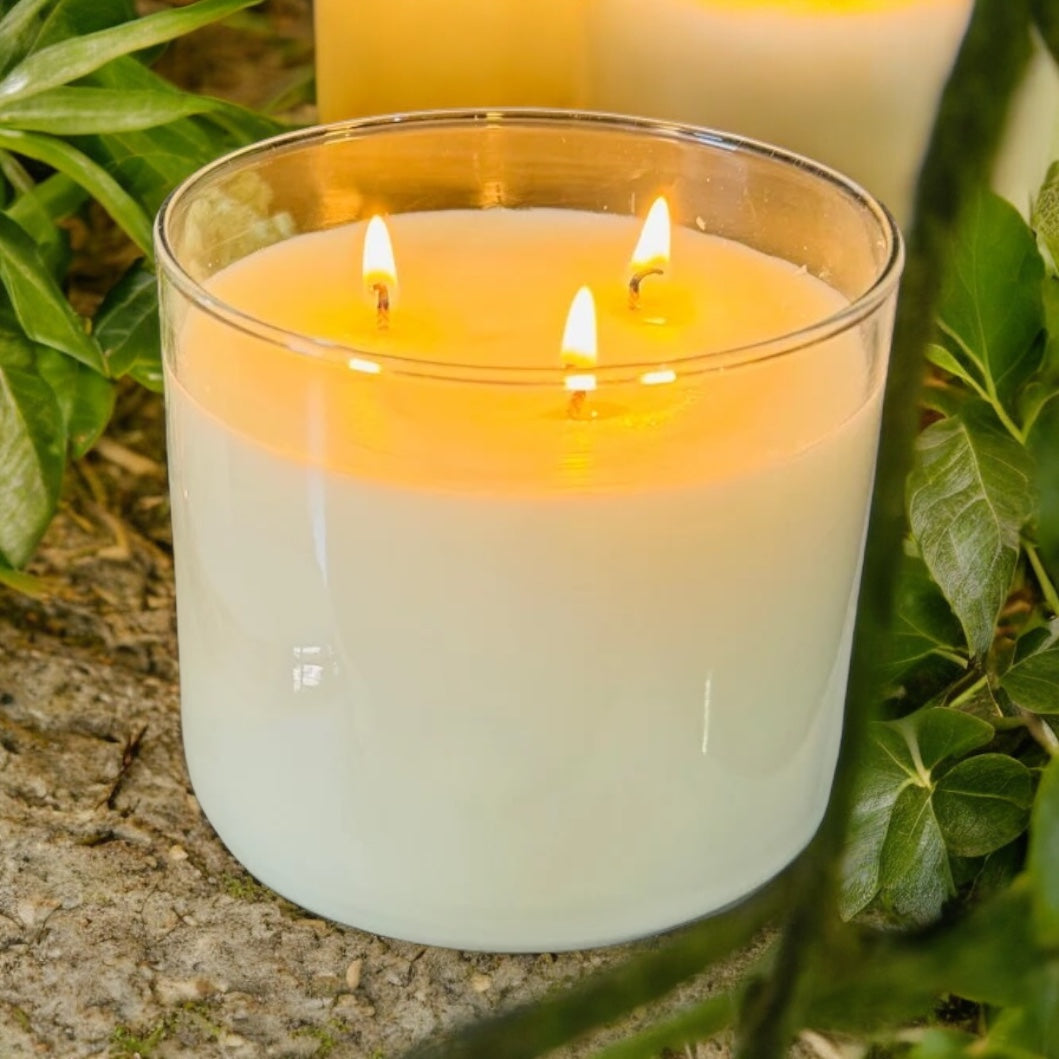 (*NEW*) Citronella Candles -   3-wick, 16oz