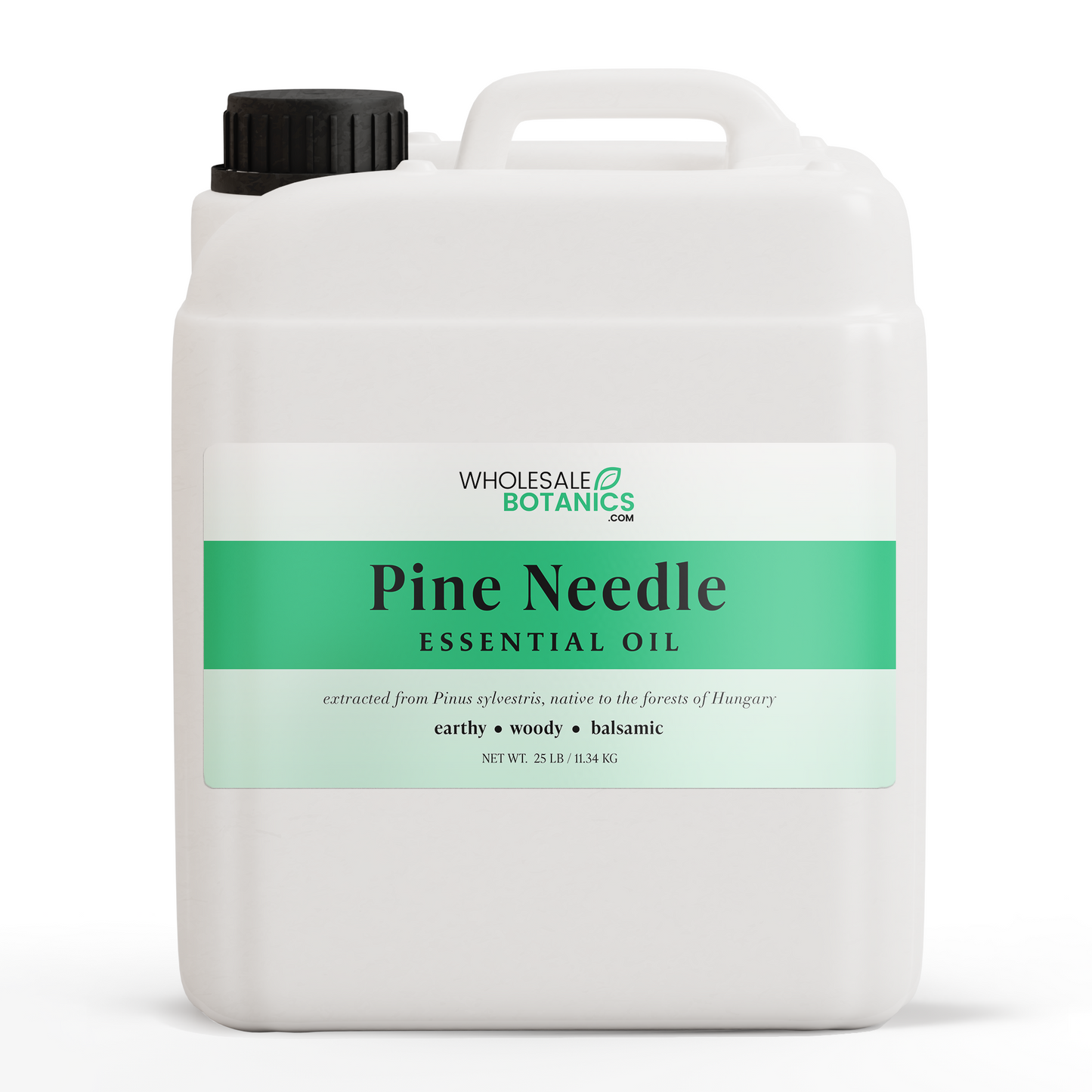 Pine Needle Essential Oil