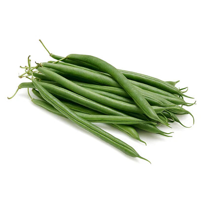 Pole Bean Seeds for Planting – High Yield, Non-GMO Climbing Green Beans for Home Garden and Vertical Growing