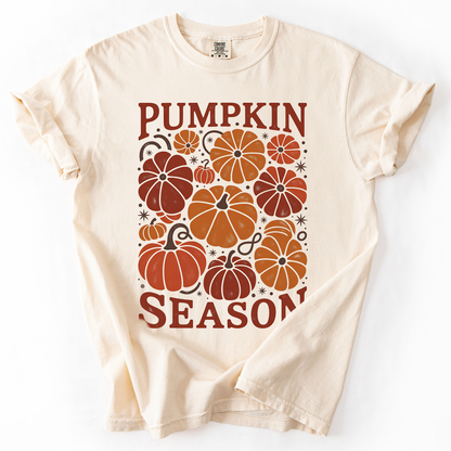 Pumpkin Season Colors T-Shirt
