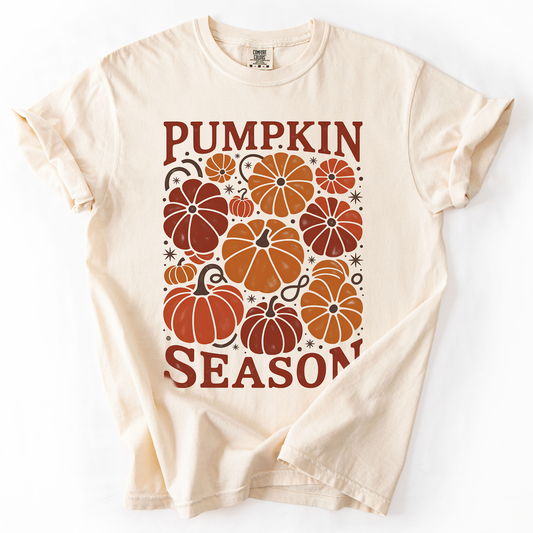 Pumpkin Season Colors T-Shirt