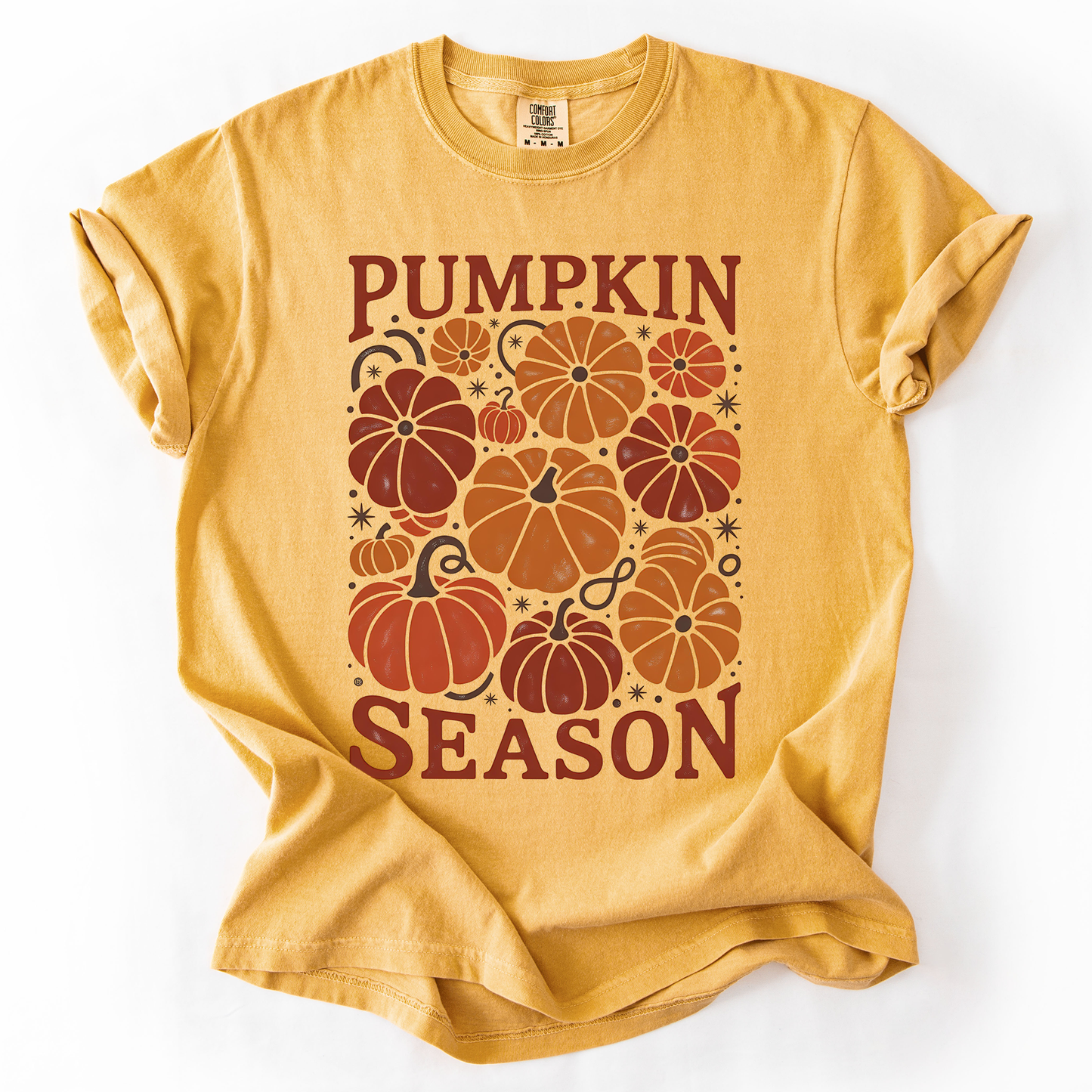 Pumpkin Season Colors T-Shirt