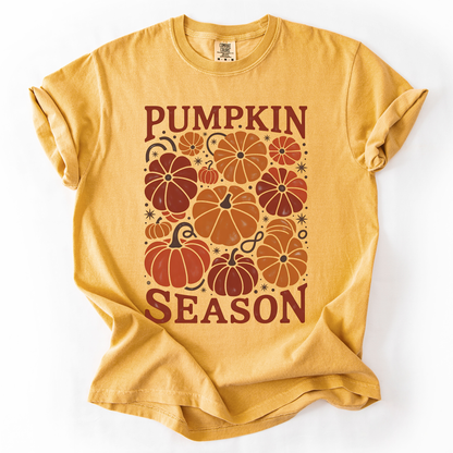 Pumpkin Season Colors T-Shirt