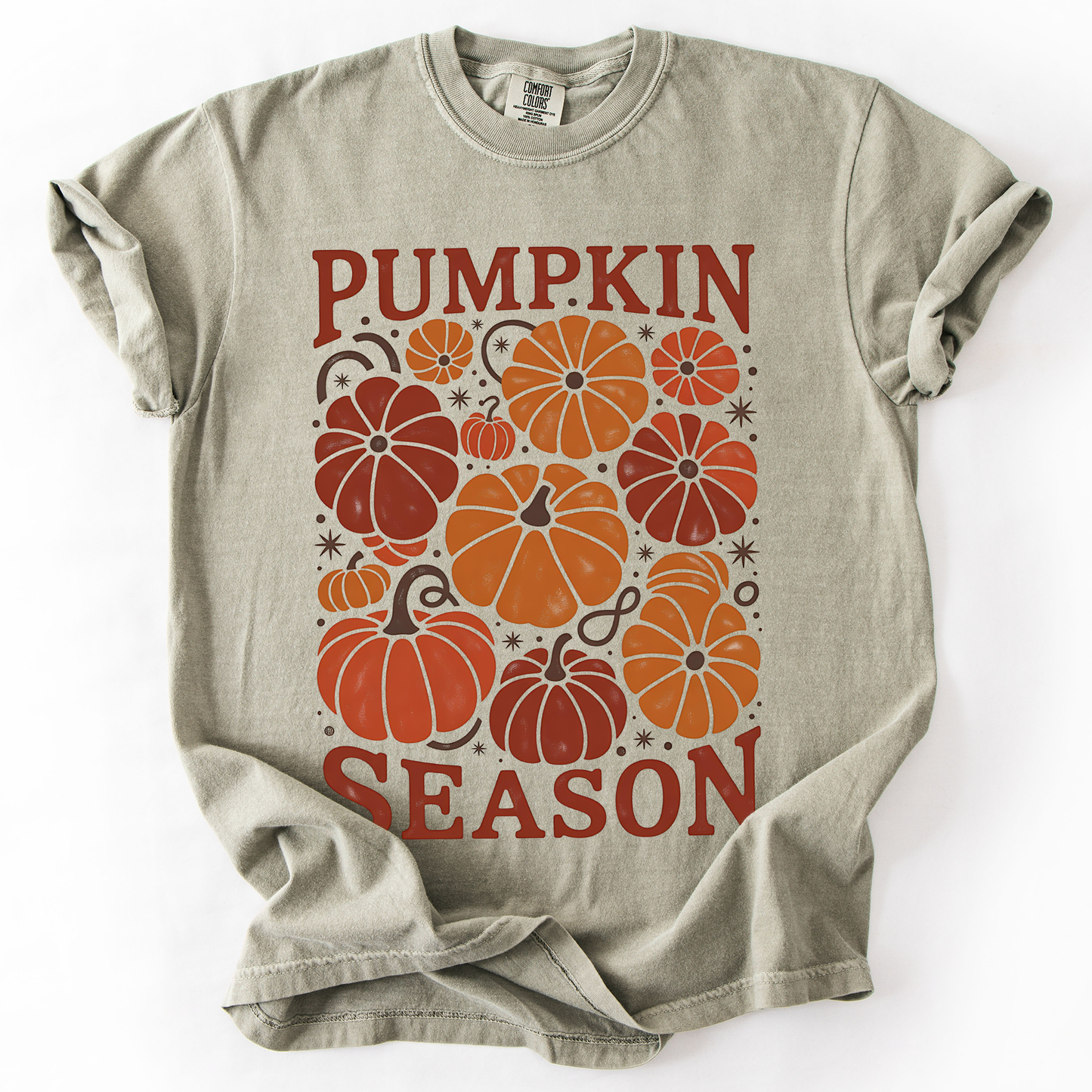 Pumpkin Season Colors T-Shirt