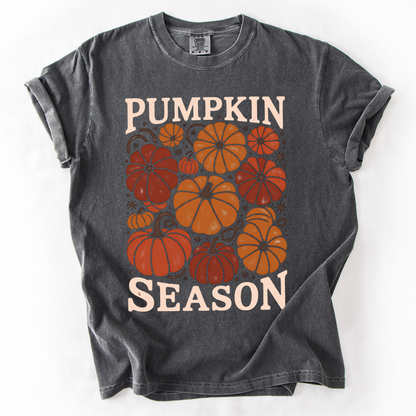 Pumpkin Season Colors T-Shirt