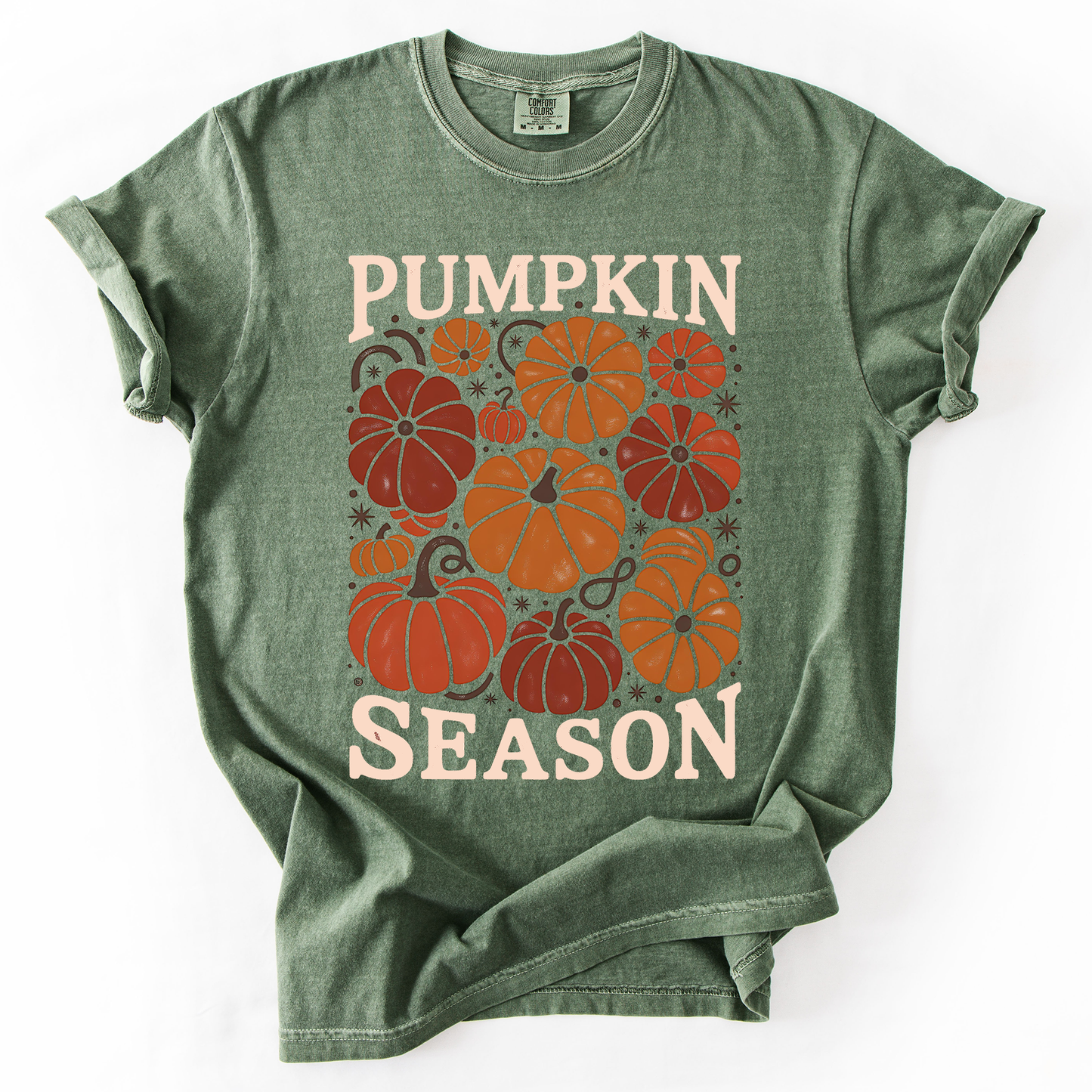 Pumpkin Season Colors T-Shirt