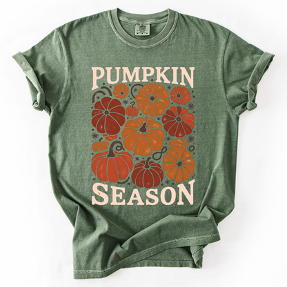 Pumpkin Season Colors T-Shirt