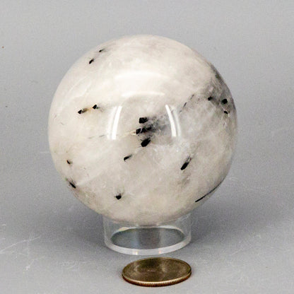 Quartz w/t Black Tourmaline Inclusions 68MM
