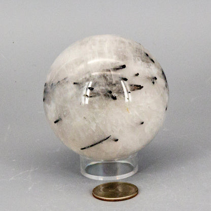 Quartz w/t Black Tourmaline Inclusions 68MM