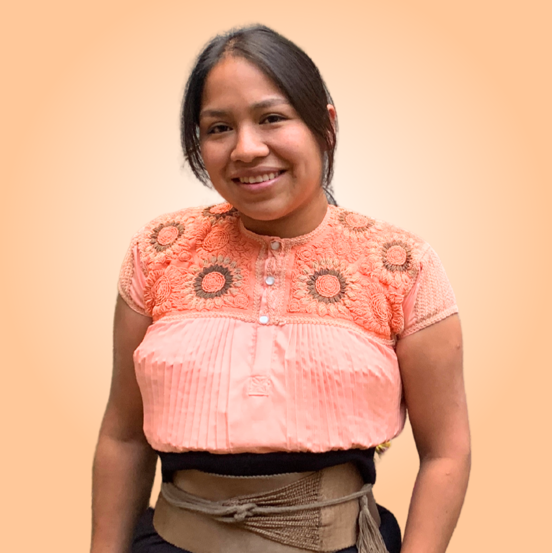 Red Star Embroidered Felted Wool Handmade Ornament - Mexico