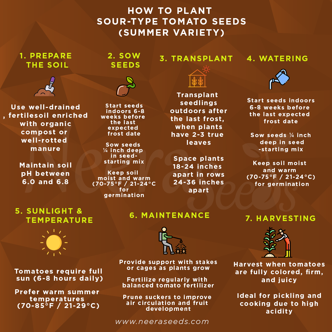 Sour-Type Tomato (Summer Variety) Vegetable Seeds for Planting – High-Acid Variety for Pickling and Cooking