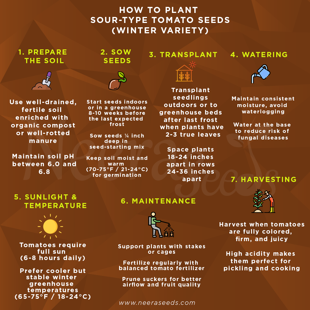 Sour-Type Tomato (Winter Variety) Vegetable Seeds for Planting – High-Acid Variety for Pickling and Cooking