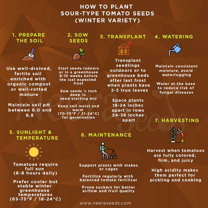 Sour-Type Tomato (Winter Variety) Vegetable Seeds for Planting – High-Acid Variety for Pickling and Cooking