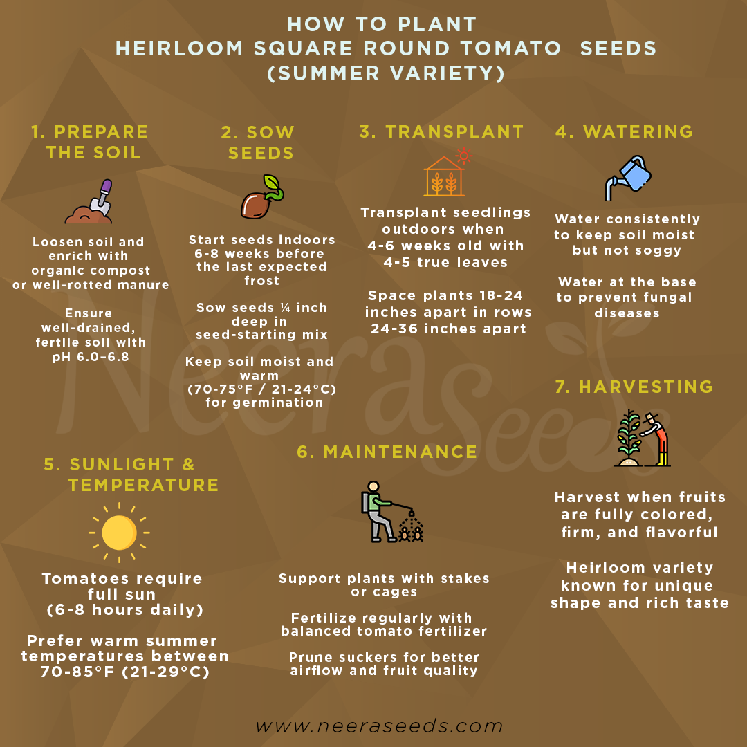 Heirloom Square Round Tomato (Summer Variety) Seeds for Planting – High-Yield Vegetable Seeds, Heirloom & Non-GMO Variety