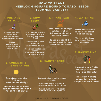 Heirloom Square Round Tomato (Summer Variety) Seeds for Planting – High-Yield Vegetable Seeds, Heirloom & Non-GMO Variety