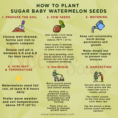 Sugar Baby Watermelon Seeds for Planting – Heirloom, Non-GMO, Sweet Mini Melons for Home Gardens