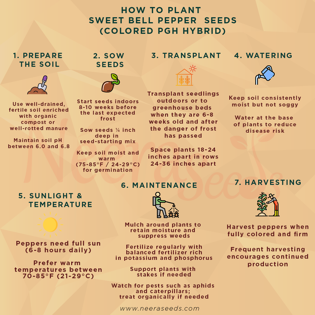 Sweet Bell Pepper Seeds for Planting – Colored PGH Hybrid, High Yield, Non-GMO Vegetable Seeds