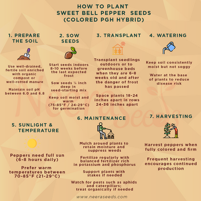 Sweet Bell Pepper Seeds for Planting – Colored PGH Hybrid, High Yield, Non-GMO Vegetable Seeds