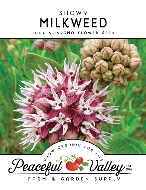 Milkweed Seeds, showy