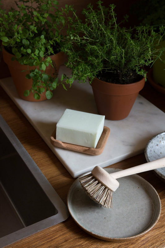 Solid DISH SOAP - Sage Basil