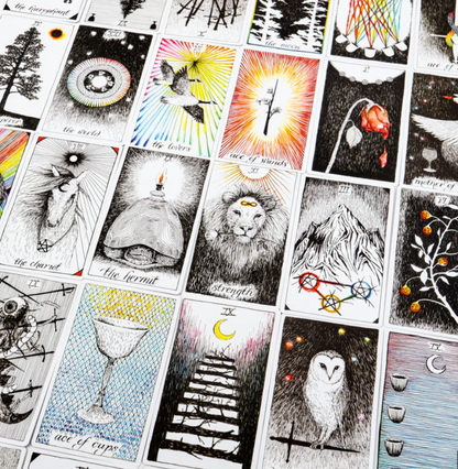 The Wild Unknown Tarot Card Deck