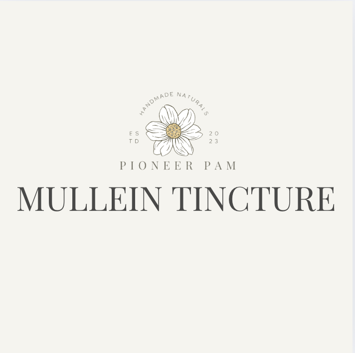 Mullein Tincture: Respiratory + Immune System Support