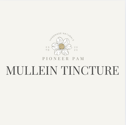 Mullein Tincture: Respiratory + Immune System Support
