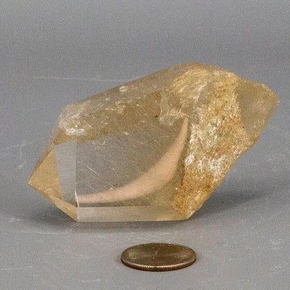 Spectacular "Rare" Brazilian Minas Gerais Golden Rutile Smoky Quartz Point
