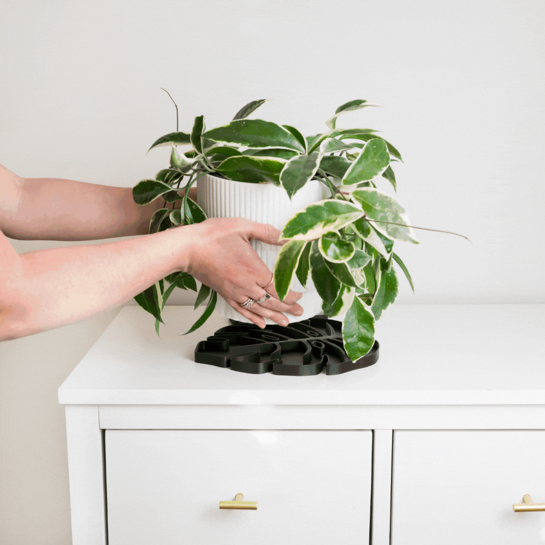 Tera Sausr - Leaf-shaped Pot Saucer - Drip tray for houseplants - Humidity tray