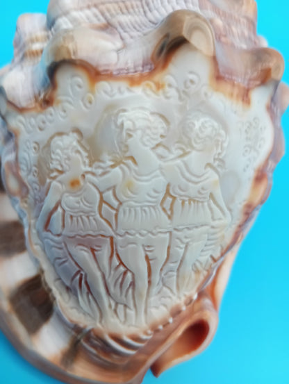 Signed Carved Cameo Three Grace Graces Shell 4.4" - Cassis Cornuta