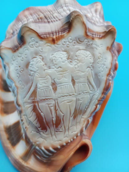 Signed Carved Cameo Three Graces Shell 4.7" – Premium Coastal Decor Accent