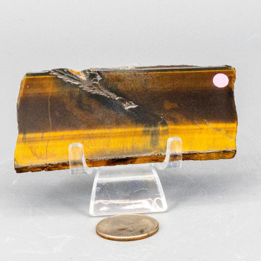 Tiger's Eye Polished Slices, Golden Healing Stone