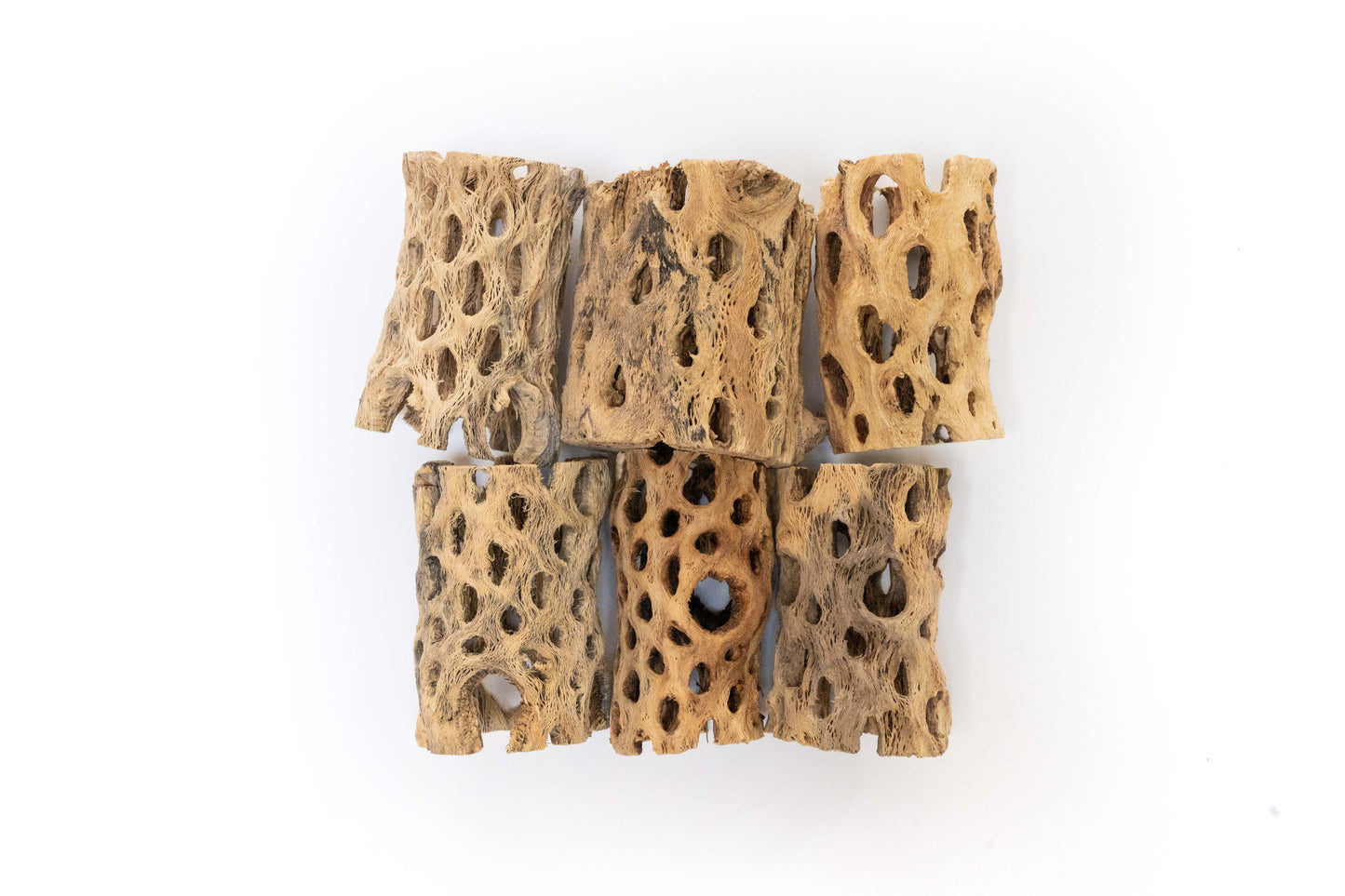 Natural Cholla Wood Containers with Assorted Tillandsia Air Plants - Set of 3 - 20% Off