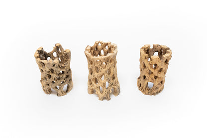 Natural Cholla Wood Containers with Assorted Tillandsia Air Plants - Set of 3 - 20% Off