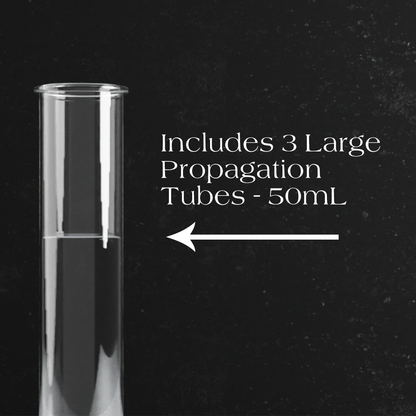 QUINTUPLE Propagation Stand