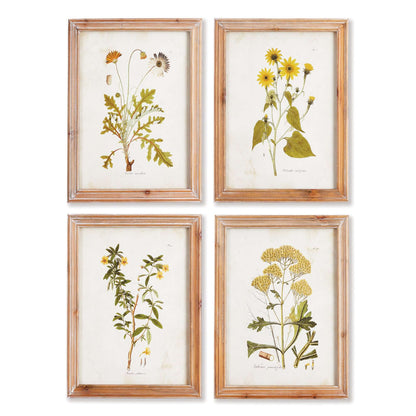 Vintage Wildflower Botanical Prints Set in Rustic Wood Frames (Set of 4)